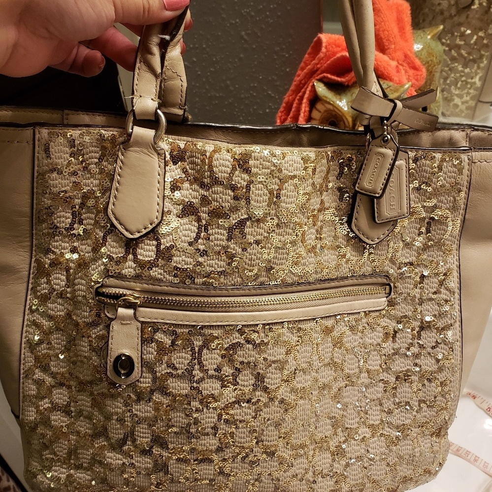 Coach sequins purse